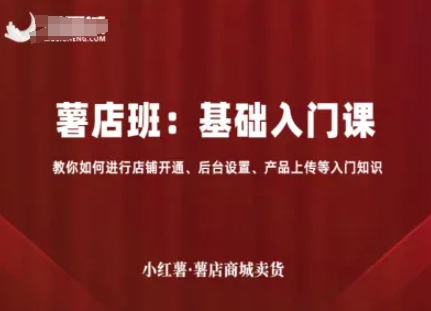 小红薯薯店商城卖货，基础入门课，教你如何进行店铺开通、后台设置、产品上传等入门知识-九天资源站