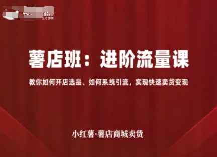 小红薯薯店商城卖货，进阶流量课，教你如何开店选品、如何系统引流，实现快速卖货变现-九天资源站