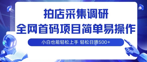 拍店采集调研，全网首码项目，简单易操作， 小白也能轻松上手，多账号操作，轻松日入5张【揭秘】-九天资源站