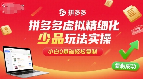 拼多多虚拟精细化少品玩法实操，小白0基础轻松复制-九天资源站