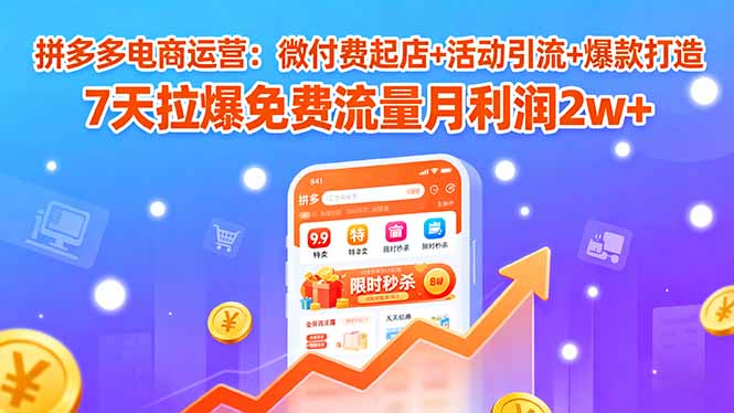 拼多多电商运营：微付费起店+活动引流+爆款打造 7天拉爆免费流量月利润2w+-九天资源站