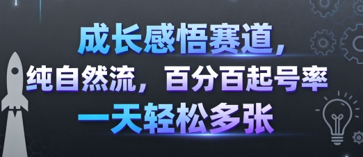 成长感悟赛道，纯自然流，百分百起号率 一天轻松多张-九天资源站