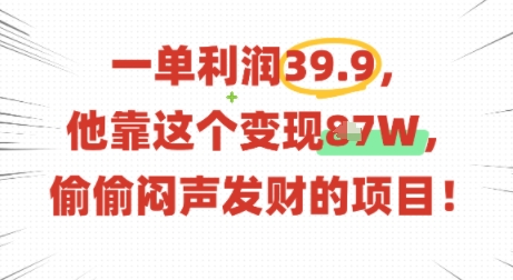 一单利润39.9，有人靠这个变现几十个，偷偷闷声发财的项目-九天资源站