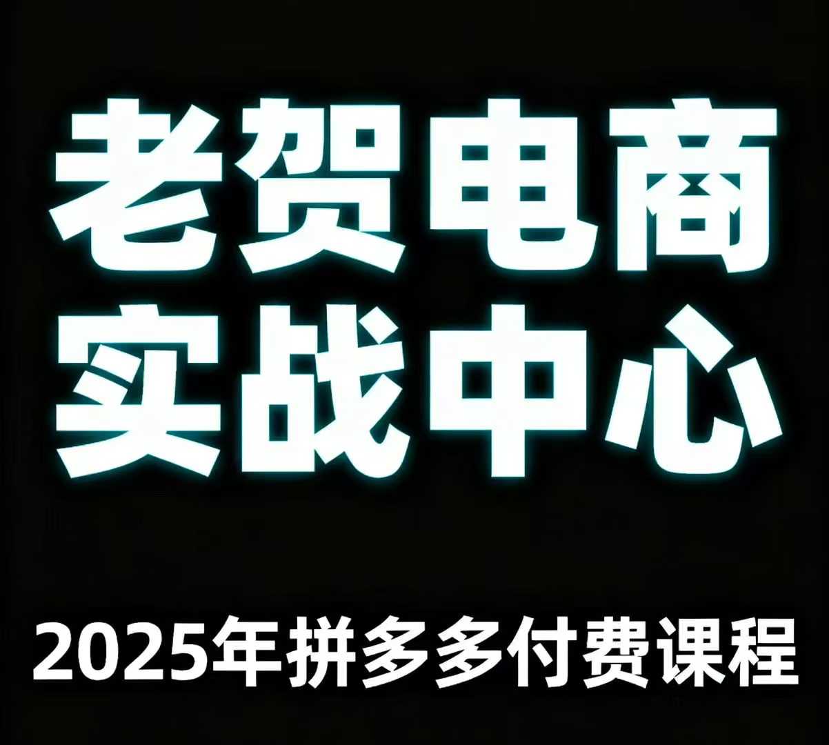老贺电商2025年拼多多付费课程，用通俗易懂的方法告诉你多多怎么玩-九天资源站