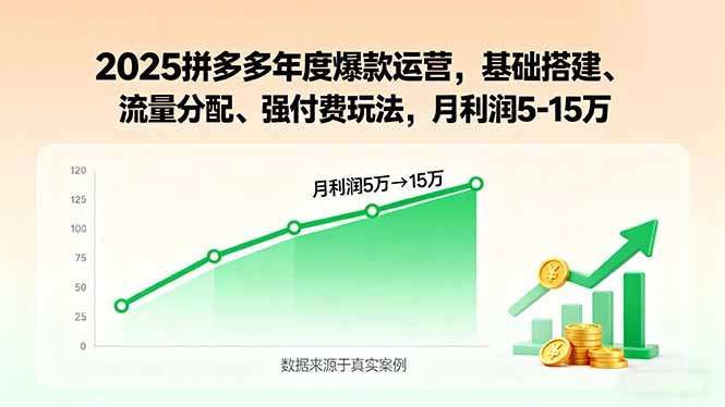 2025拼多多年度爆款运营，基础搭建、流量分配、强付费玩法，月利润5-15万-九天资源站