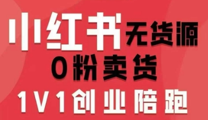 小红书无货源0粉电商课，开店准备、选品策略、笔记撰写、视频剪辑、数据分析、账号打造、资料文档-九天资源站
