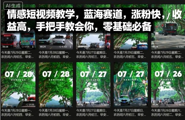 情感短视频教学，蓝海赛道，涨粉快，收益高，手把手教会你，零基础必备-九天资源站
