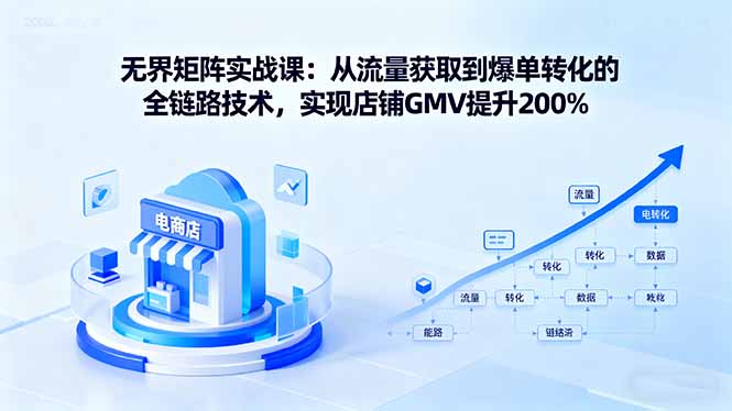 无界矩阵实战课：从流量获取到爆单转化的全链路技术，实现店铺GMV提升200%-九天资源站