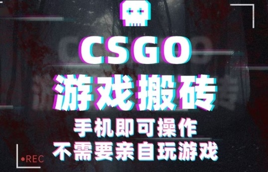 CSGO游戏挂G捡漏，单日扫货5张+，年底小高峰上车可吃肉，手机即可操作，兼职副业创业网创【揭秘】-九天资源站