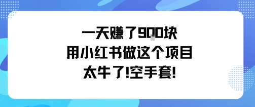 一天挣了9张用小红书做这个项目太牛了，空手套-九天资源站