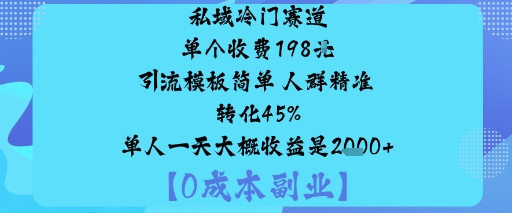 私域冷门赛道:单个收费198米引流模板简单人群精准转化45%单人一天大概收益是1k+-九天资源站