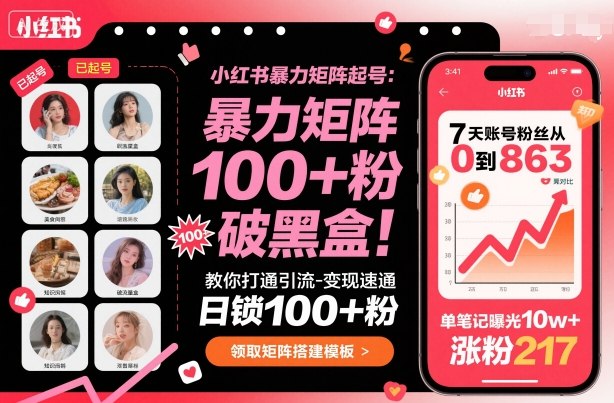 小红书暴力矩阵起号，教你打通引流-变现速通，日锁100+粉，破流量黑盒-九天资源站
